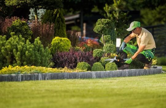 Landscape & Gardening Works
