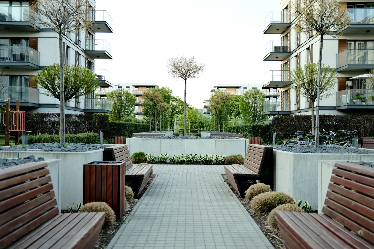 Charming contemporary garden walkway flanked by benches in a vibrant urban setting, offering a serene escape.